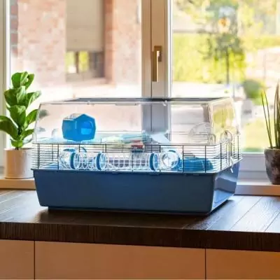 Cage FERPLAST DUNA FUN LARGE - Bleu - 3 étages - Spacieuse et ludique Cage FERPLAST DUNA FUN LARGE - Bleu - 3 étages - Spacieuse et ludique