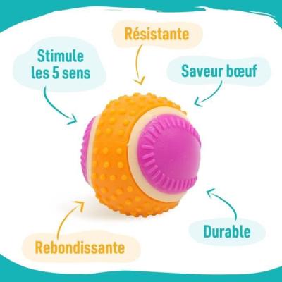 Découvrez AIMÉ 5 en 1 Boeuf : la Balle pour chien gourmande !