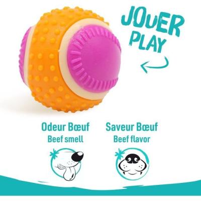 Découvrez AIMÉ 5 en 1 Boeuf : la Balle pour chien gourmande !