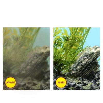 Recharges de Filtration CIANO pour Aquarium - Pack 3 mois, Taille L