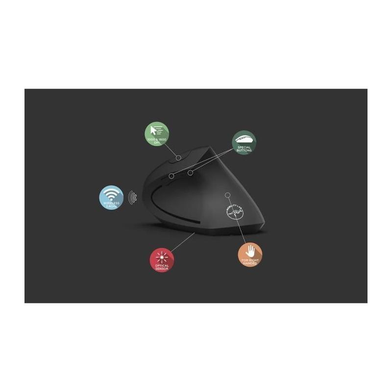 Souris ergonomique sans fil verticale - MOBILITY - 2.4Ghz