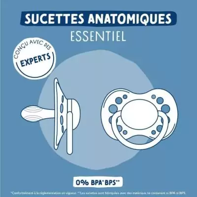 Lot de 2 sucettes anatomiques Dodie - Loutre, taille 0/6 mois