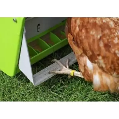 Distributeur d'aliment automatique KERBL SmartCoop - 7,5 kg - Vert