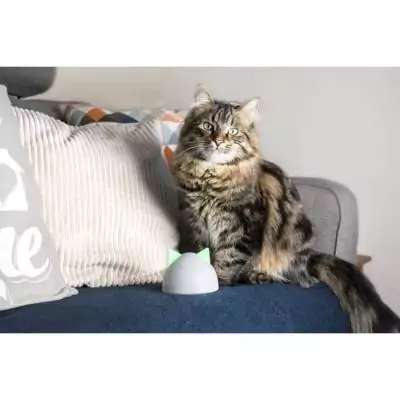 Hub Sure Petcare Blanc - Compatible avec 10 produits Connect | CHATIERE - PORTE POUR CHAT - TRAPPE CHAT