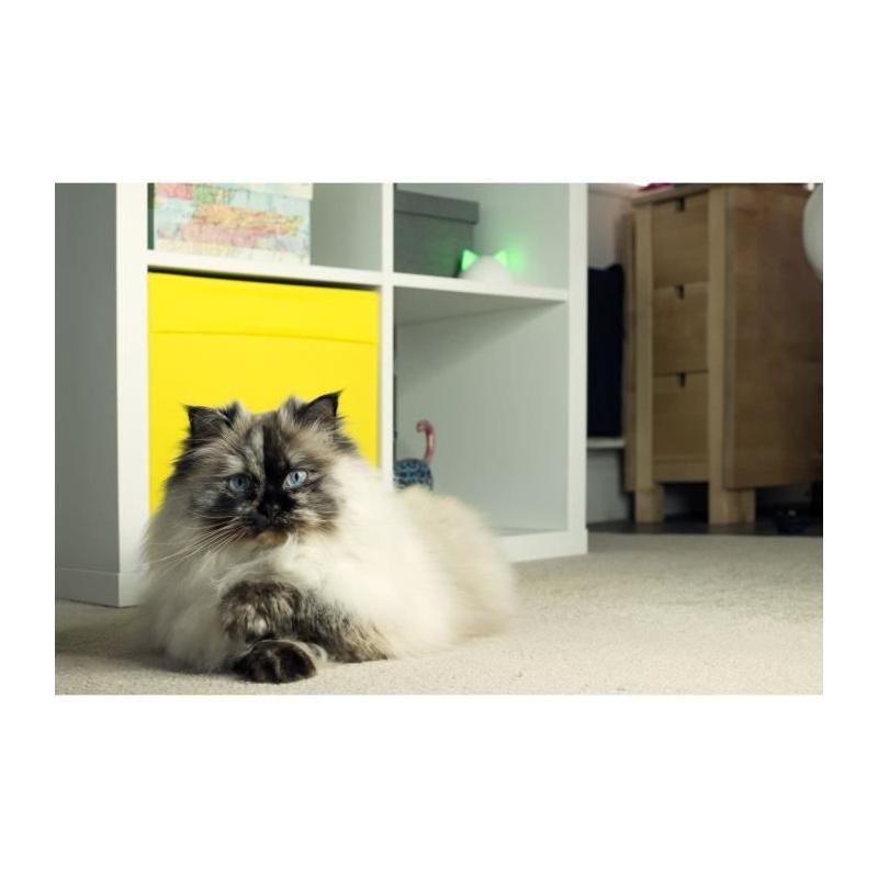 Hub Sure Petcare Blanc - Compatible avec 10 produits Connect | CHATIERE - PORTE POUR CHAT - TRAPPE CHAT