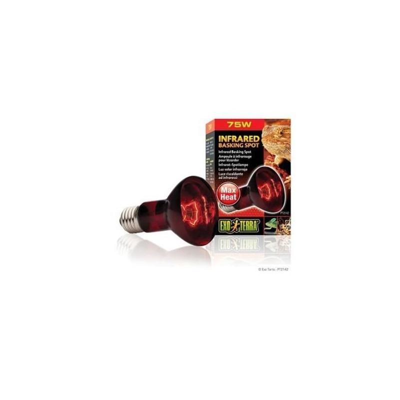 Lampe infrarouge 75 W pour un bain de soleil parfait