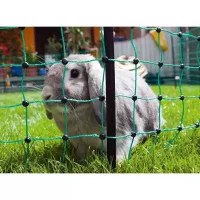 Filet électrifiable pour petits animaux - 50 m - Double pointe