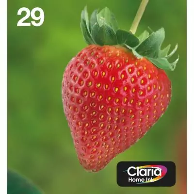 Epson Strawberry Multipack EasyMail "Fraise" 29 - Encre Claria Home N,C,M,J
