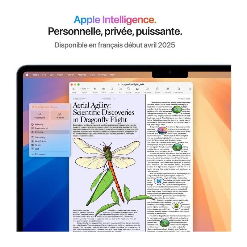 MacBook Air M4 13,6'' 2025 - RAM 16Go - Stockage 512Go - CPU/GPU 10 coeurs - Bleu ciel