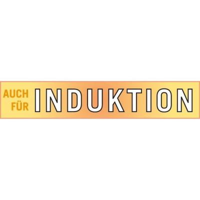 Faitout Traiteur GSW RIGO 26 cm 10 L Induction Acier inoxydable