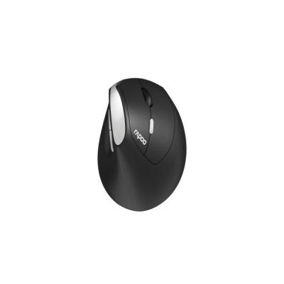 Souris sans fil Rapoo EV250 Noir - Compacte et performante