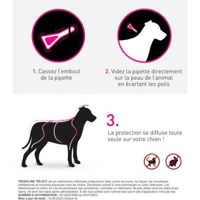 Traitement antiparasitaire complet pour chiens de 20 à 40 kg