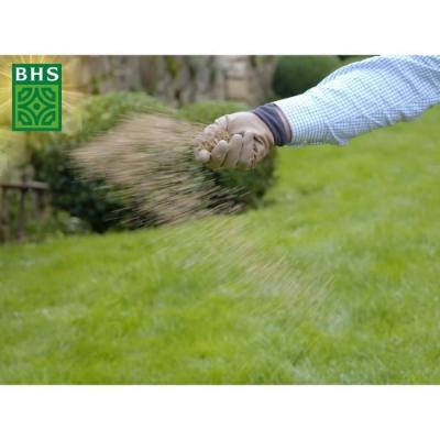 Gazon Rustique 20kg - Densité, Esthétique & Durabilité