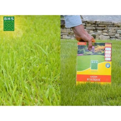 Gazon Rustique 20kg - Densité, Esthétique & Durabilité