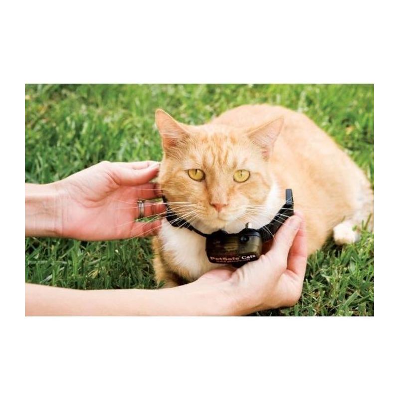 Collier supplémentaire anti-fugue léger pour chat