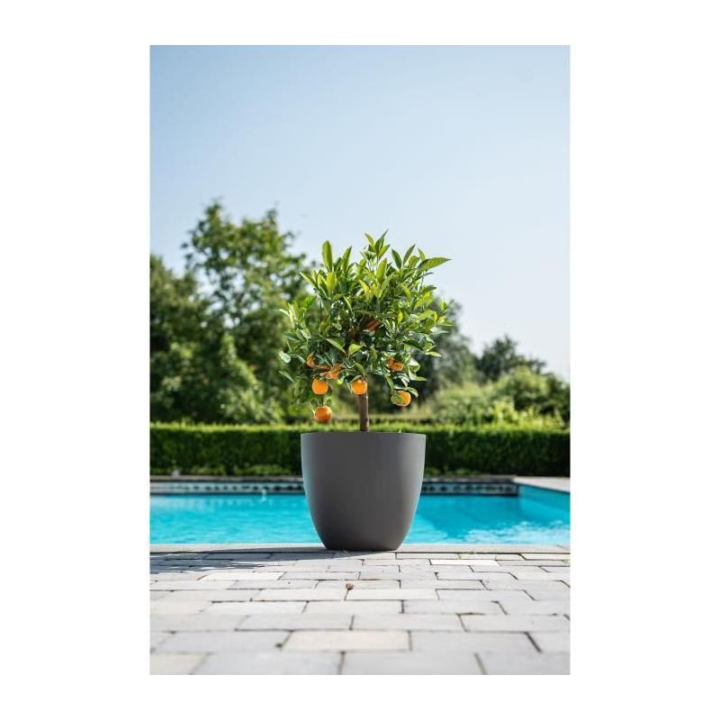 Pot de fleurs Phoenix Anthracite - 48 x 42 cm - 100% Recyclé et Résistant - Pour Exté