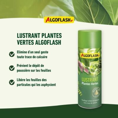 Engrais ALGOFLASH Lustrant Plantes Vertes 250 mL