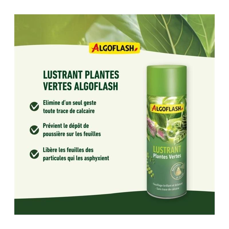 Engrais ALGOFLASH Lustrant Plantes Vertes 250 mL