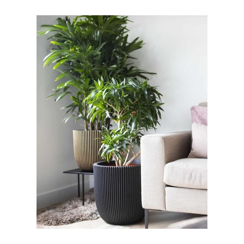 Pot de fleur boule CAPI EUROPE GROOVE NL 35 x 34 cm Noir/Or