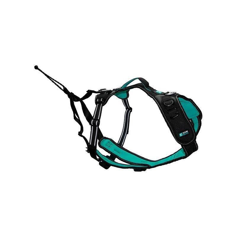 Harnais pour chien SYMBIOZ XL Noir/Bleu - Confort et style