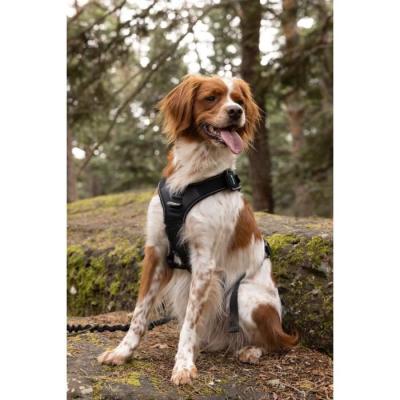 Harnais pour chien SYMBIOZ XL Noir/Bleu - Confort et style