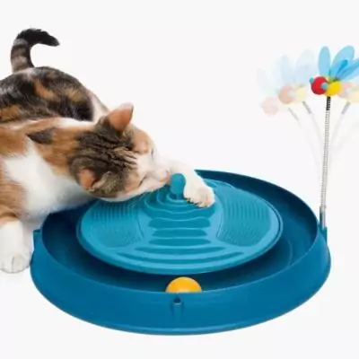 Jouet pour chat CATIT - Circuit amusant avec herbe à chat - Abeille rebondissante