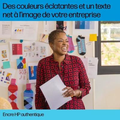 Cartouche d'encre HP 300 authentique: couleurs vives pour HP DeskJet F4580 et Photosmart C4680/C4795
