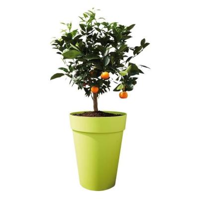 Pot de fleur Elho Plastique Rond Loft Urban Blanc Ø 34 x 45,6 cm 23 l - Décoration florale moderne et élégante