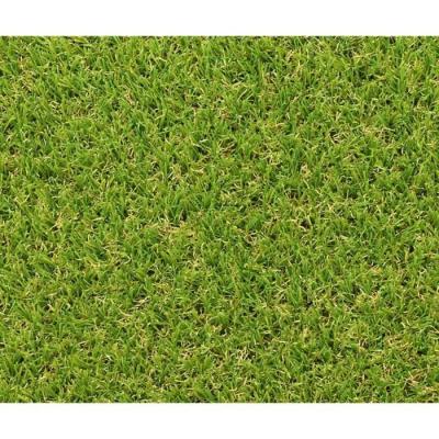 Gazon synthétique Exelgreen Campus 25mm - Qualité Premium