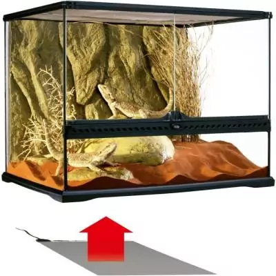 Chauffage efficace pour terrarium - EXO TERRA - 8W Chauffage efficace pour terrarium - EXO TERRA - 8W