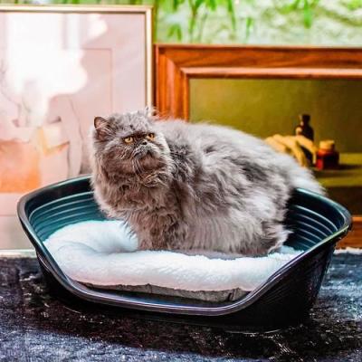 Coussin doux pour chat ou chien - FERPLAST RELAX 55/4