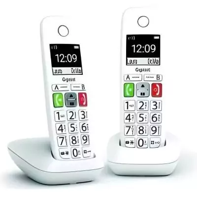 Téléphone Fixe sans Fil - GIGASET E290 Duo Blanc - Son Amplifié
