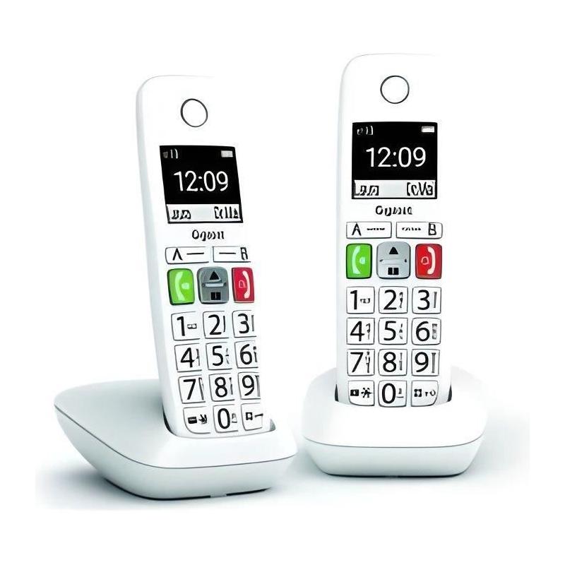 Téléphone Fixe sans Fil - GIGASET E290 Duo Blanc - Son Amplifié