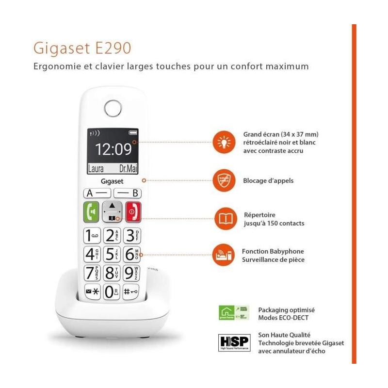 Téléphone Fixe sans Fil - GIGASET E290 Duo Blanc - Son Amplifié