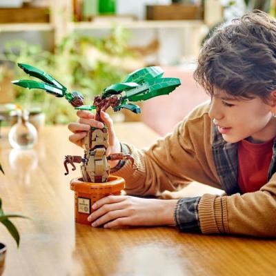 LEGO Harry Potter 76433 Mandragore - Plante ensorcelante!