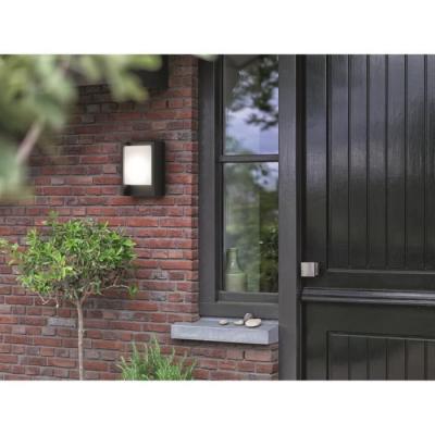Applique extérieure LED Philips Arbour - Anthracite - 600 lm