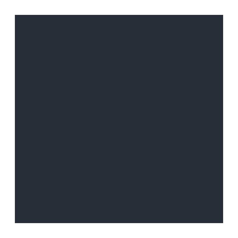 Peinture bois anthracite RAL70 satin 2,5L RIPOLIN PROTECTION EXTREME