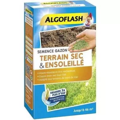 ALGOFLASH Gazon pour terrain sec ensoleillé - 1kg