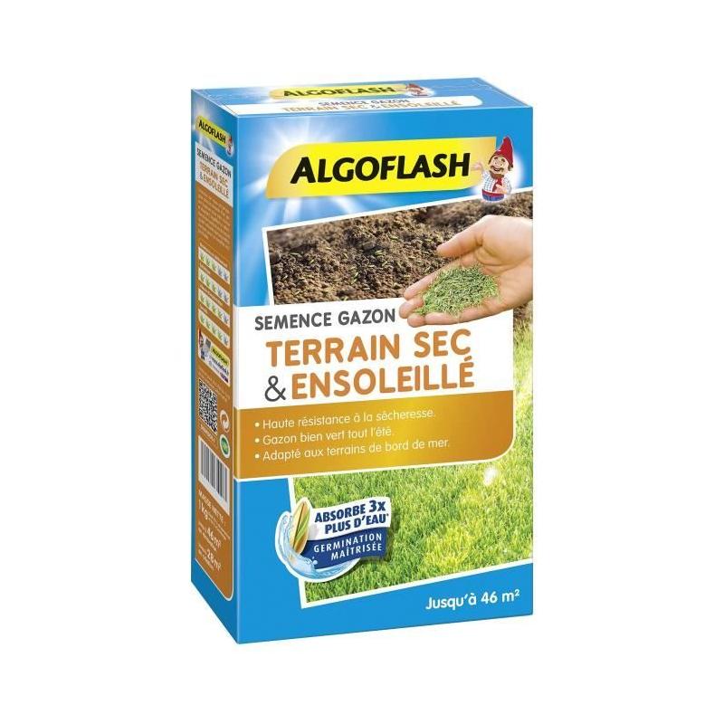 ALGOFLASH Gazon pour terrain sec ensoleillé - 1kg