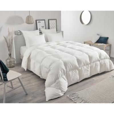 Oreiller TOISON D'OR - Daisy - Plumette et duvet - Blanc
