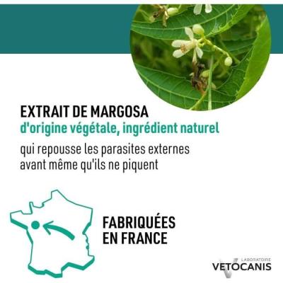Protégez votre grand chien des parasites avec les pipettes VETOCANIS