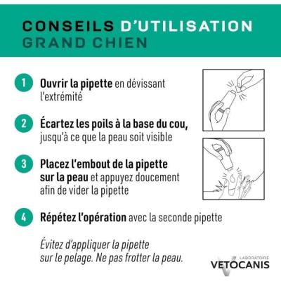Protégez votre grand chien des parasites avec les pipettes VETOCANIS