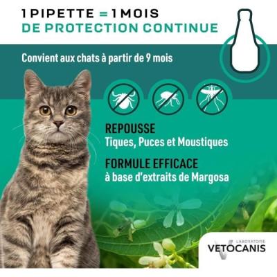 Protégez votre chat avec VETOCANIS - Pipettes anti-parasites efficaces