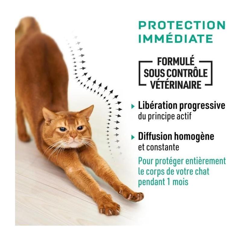 Protégez votre chat avec VETOCANIS - Pipettes anti-parasites efficaces