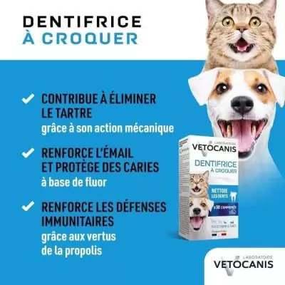 Comprimés Dentifrice Croquer pour Chat et Petit Chien - VETOCANIS