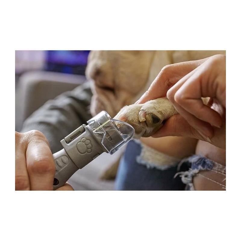 Machine giffres pour chiens sur piles: 4 disques