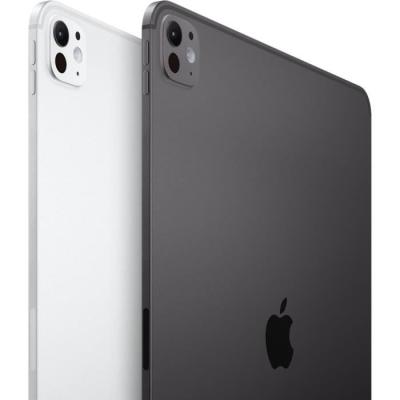 Nouvel iPad Pro (2024) 13" WiFi 512 Go - Noir sidéral