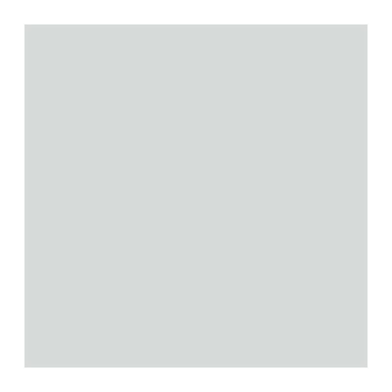 Peinture murale RIPOLIN pour toutes pièces - Gris souris satin - 2,5 L