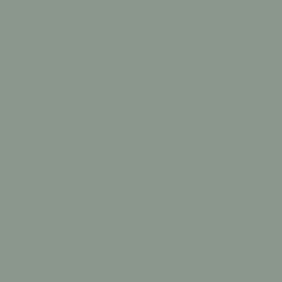 Peinture décorative murale intérieure vert nobile mat RIPOLIN - 2,5L