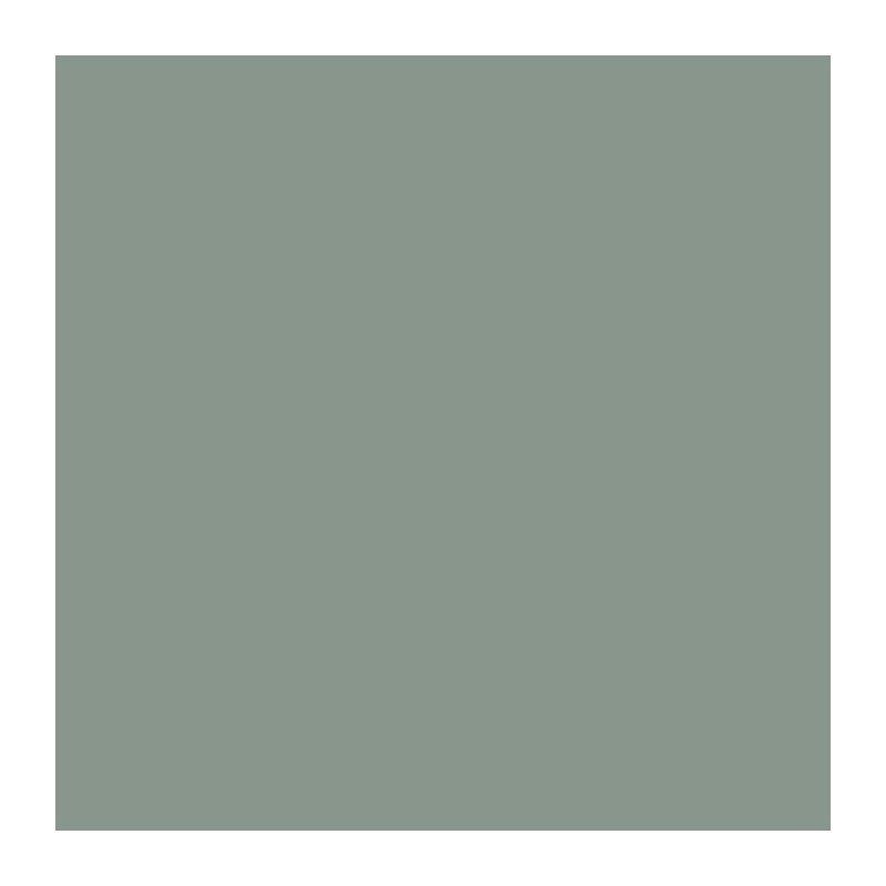 Peinture décorative murale intérieure vert nobile mat RIPOLIN - 2,5L